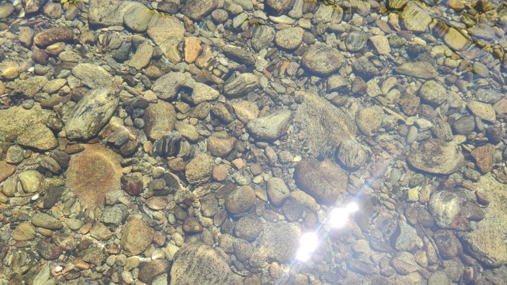 Agua Transparente