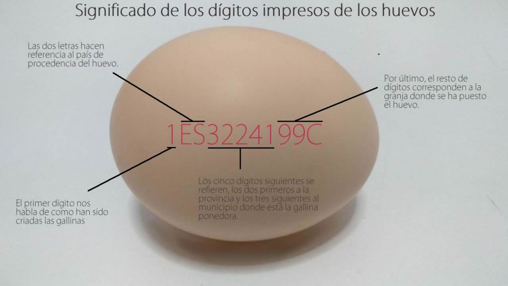 Dígitos de los huevos