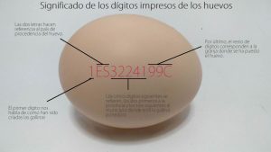 Dígitos de los huevos