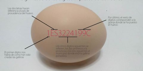 Dígitos de los huevos