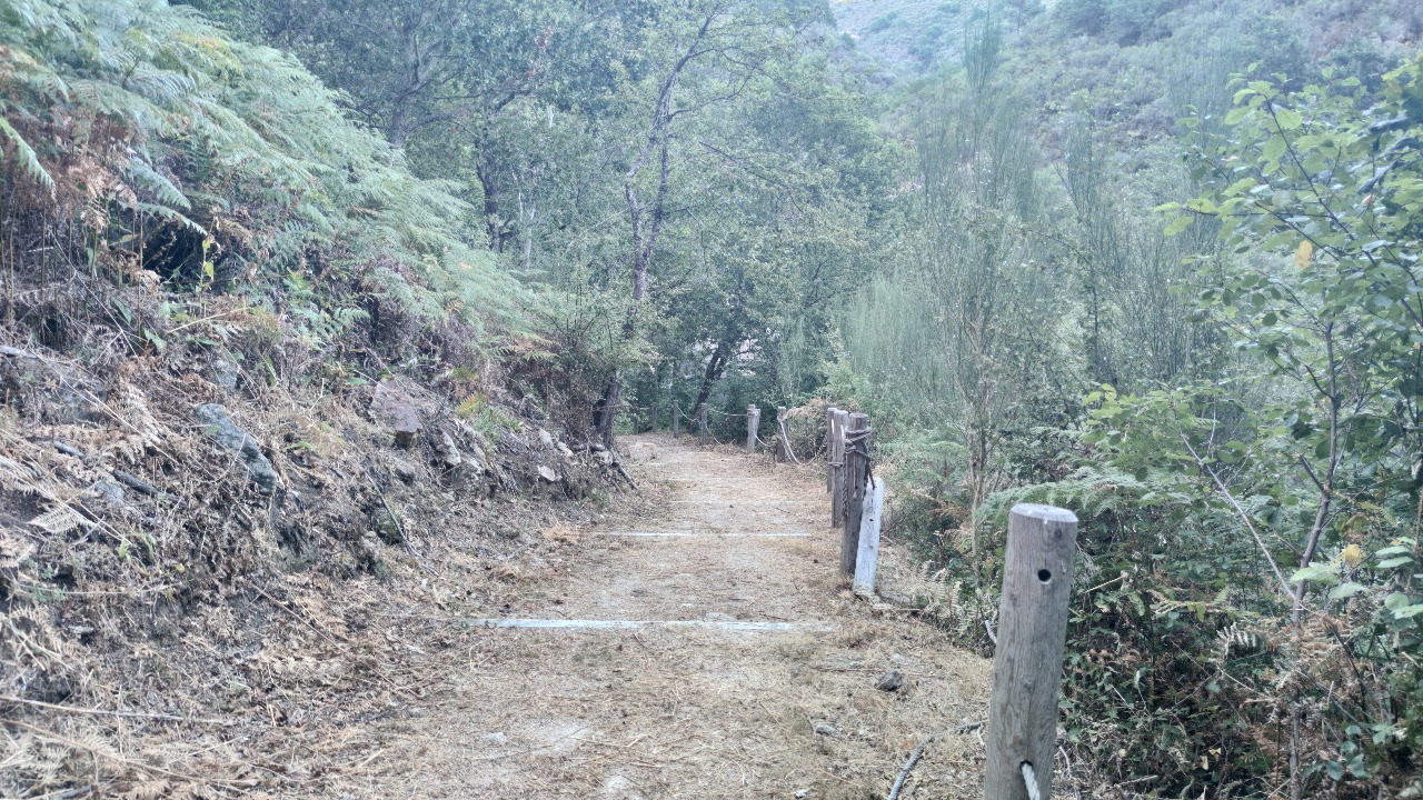 Camino a Pozo Caído