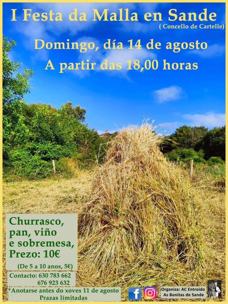I Festa Da Malla De Sande