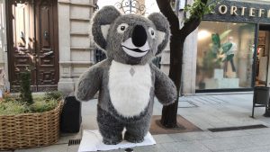 Koala en la calle del Paseo