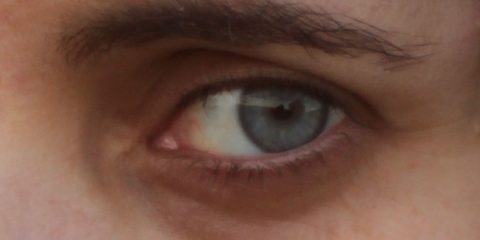 Ojo vista