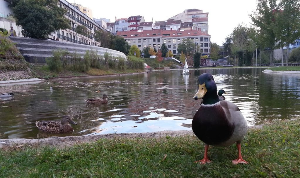 Parque Avilés de Taramancos junto al Barbaña