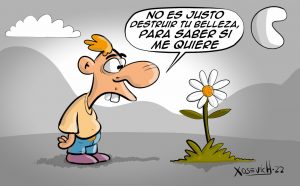 Belleza de la flor margarita destruir me quiere no me quiere Xosevich 22