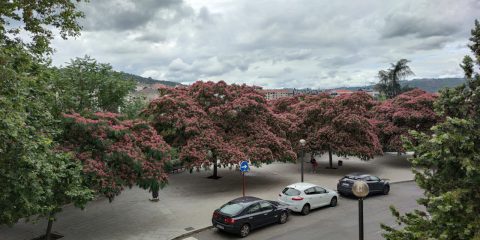 Calle Praza de Abastos Manuel Suárez Castro