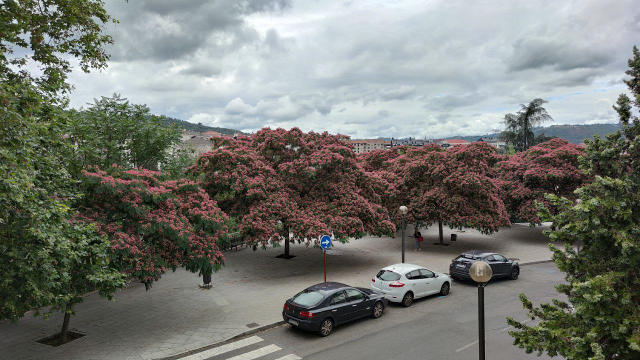 Calle Praza de Abastos Manuel Suárez Castro