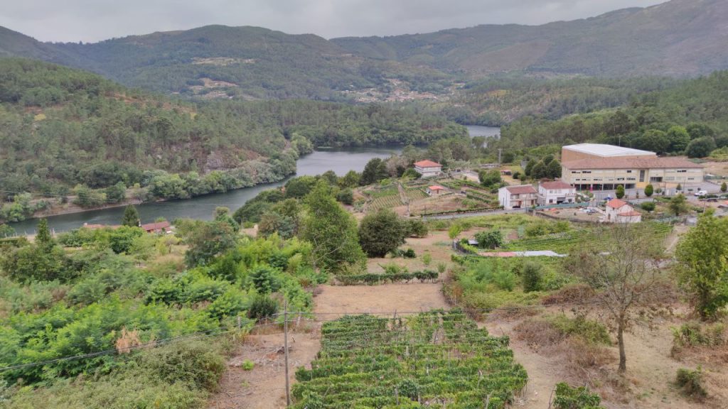 Cortegada y el río Miño