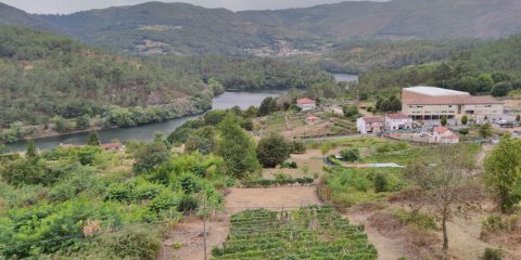 Cortegada y el río Miño