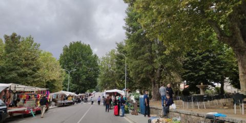 Feria de Entrimo primer domingo de cada mes
