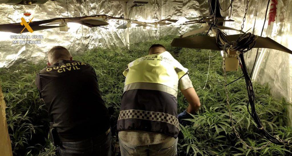 Guardia Civil desarticula banda cultivo marihuana
