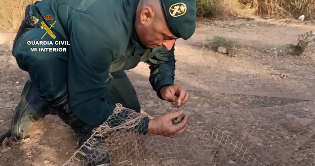 Guardia Civil y aves