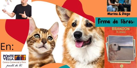Jornada de adopción de animales en Ponte Vella