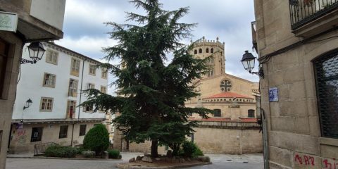 Trasera Catedral de Ourense vinos casco viejo y plaza de los Suaves
