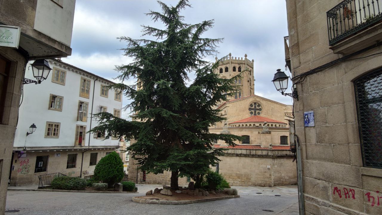 Trasera Catedral de Ourense vinos casco viejo y plaza de los Suaves