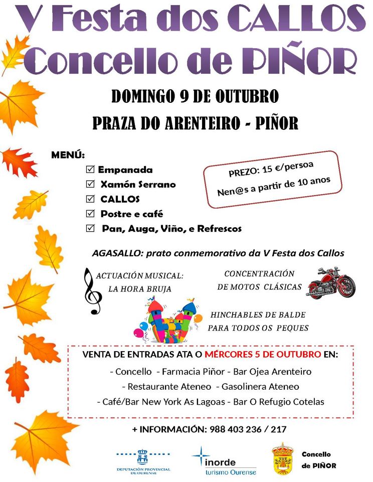 V Festa Dos Callos de Piñor