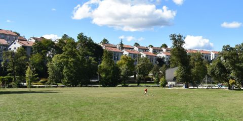 Zona piscinas y parque infantil en Allariz