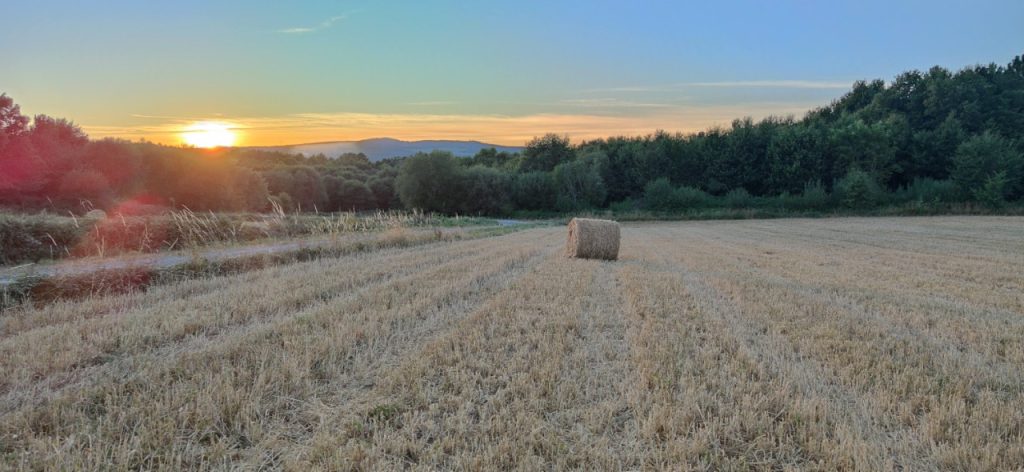 Campo Monte fincas en A Merca rollos de hierba