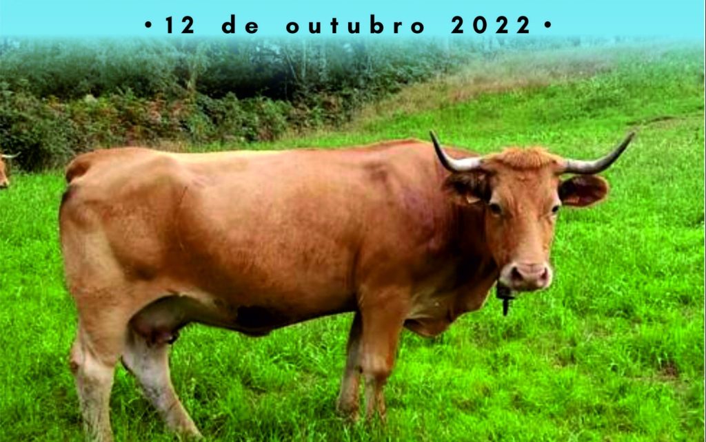 Festa da Carne 2022