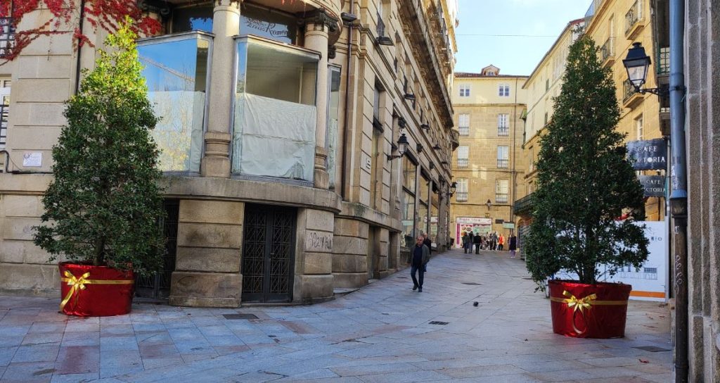 Acebos en el centro de Ourense