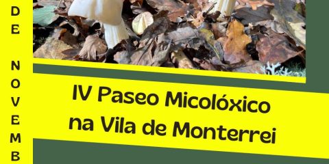 IV Paseo Micológico de Monterrei