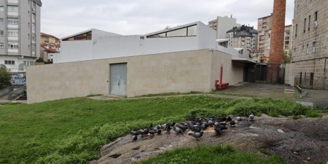 Palomas La Molinera
