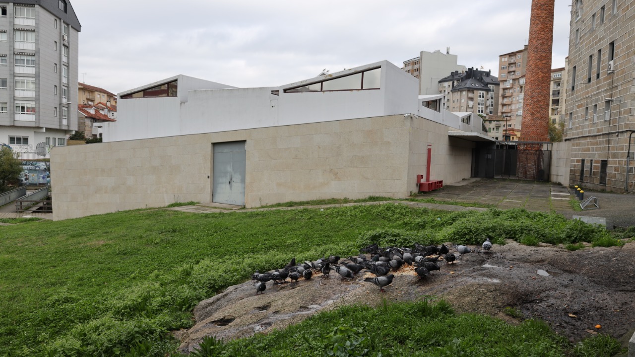 Palomas La Molinera
