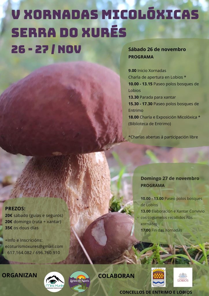 V Jornadas micologicas serra do xurés
