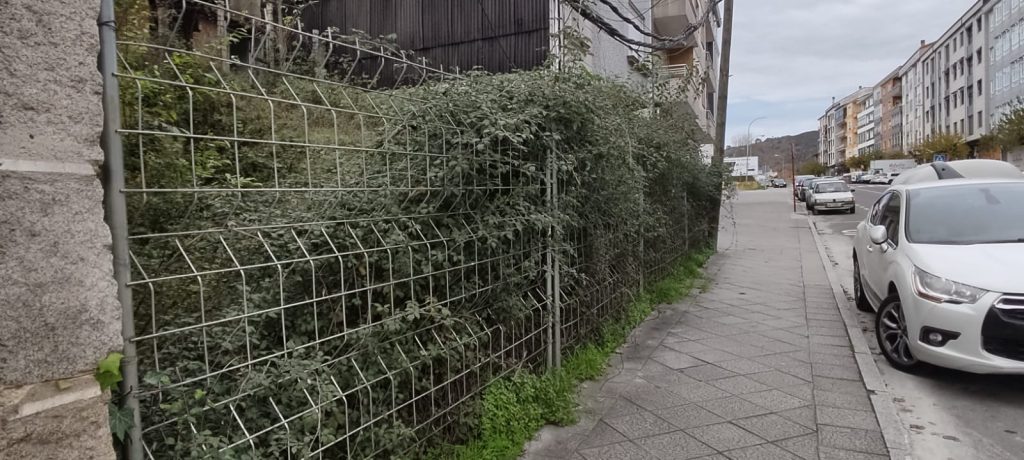 Silvas en la calle