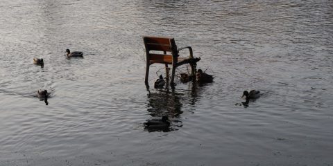 Banco inundado y patos en Miño