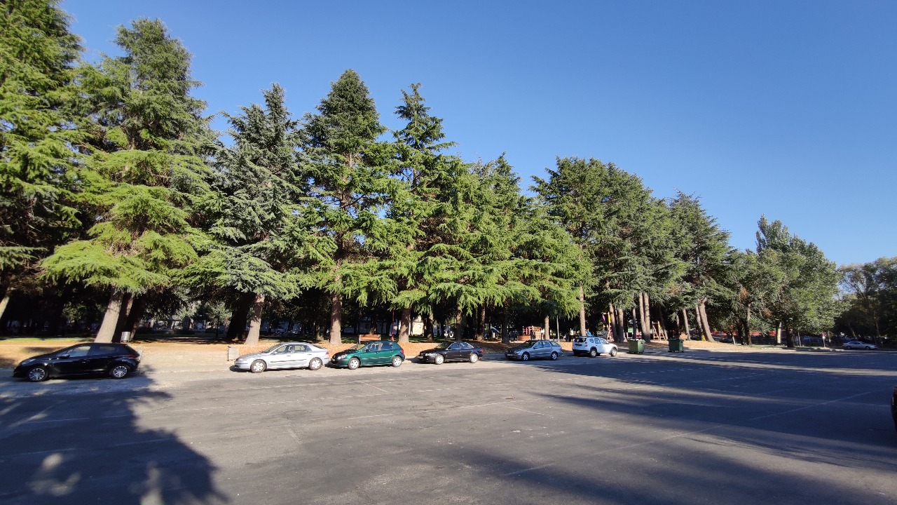 Parque Do Toural en Xinzo De Limia con árboles