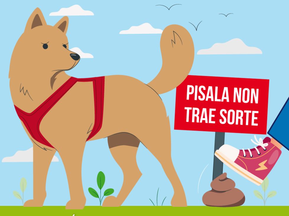 Pisala non trae sorte