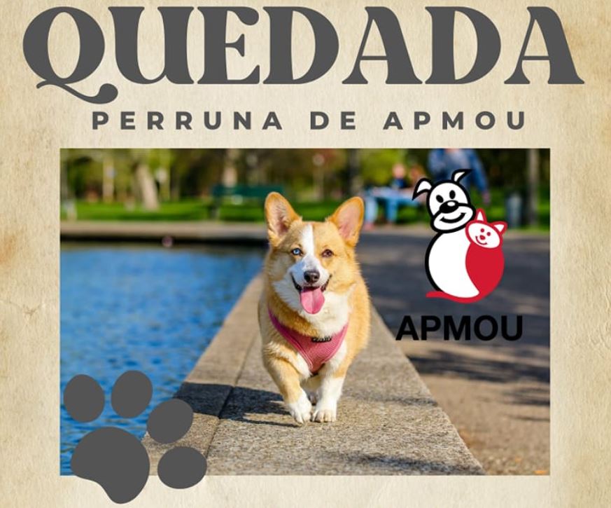 Queda Perruna APMOU