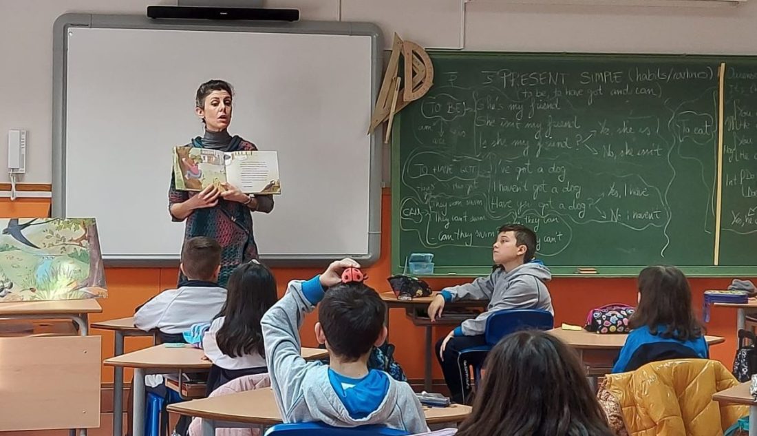 Colegio Mestre Vide