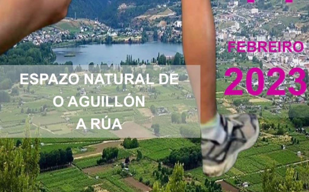 Final del Campeonato Provincial de Campo a Través