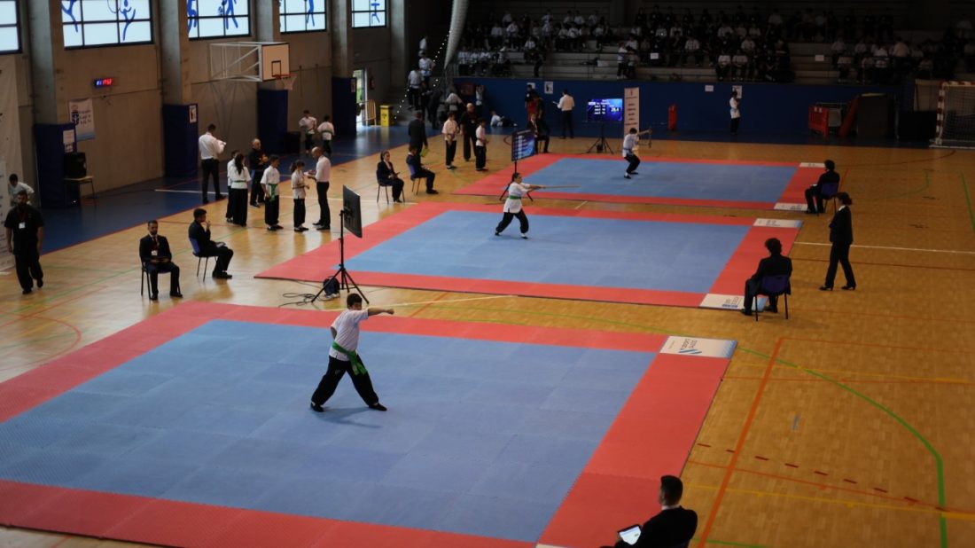 XVII Campeonato de Galicia Escolar individual de Kung-Fu
