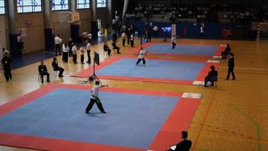 XVII Campeonato de Galicia Escolar individual de Kung-Fu