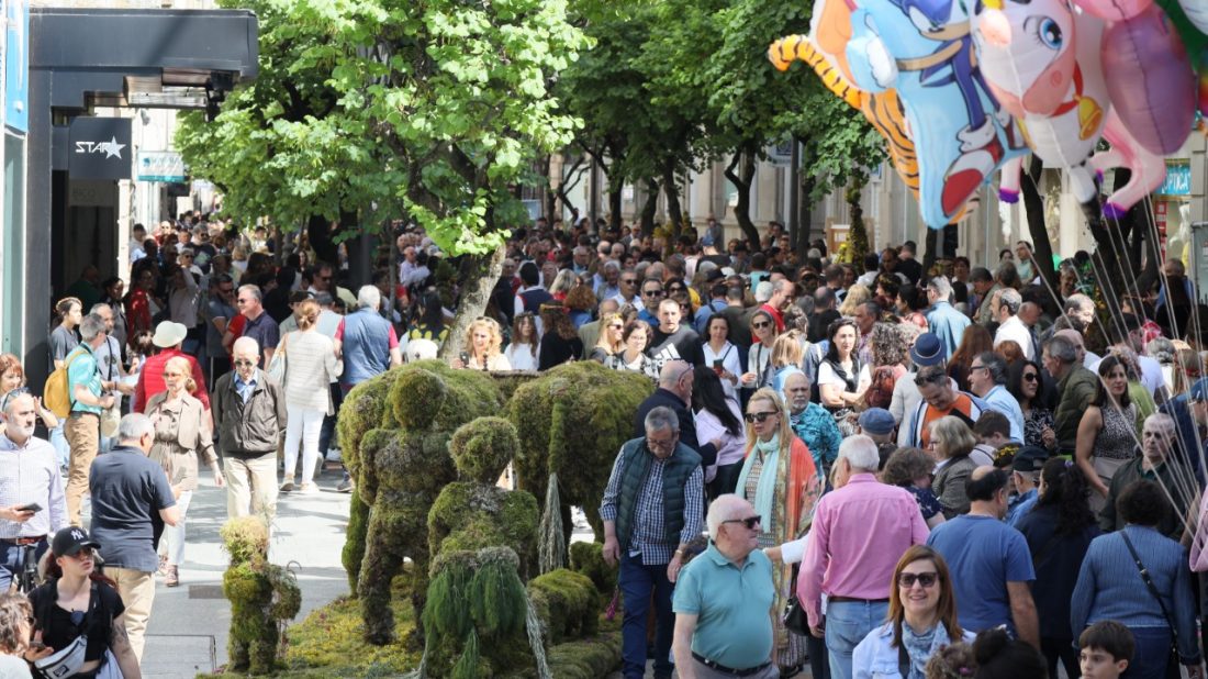 Festa Dos Maios de Ourense