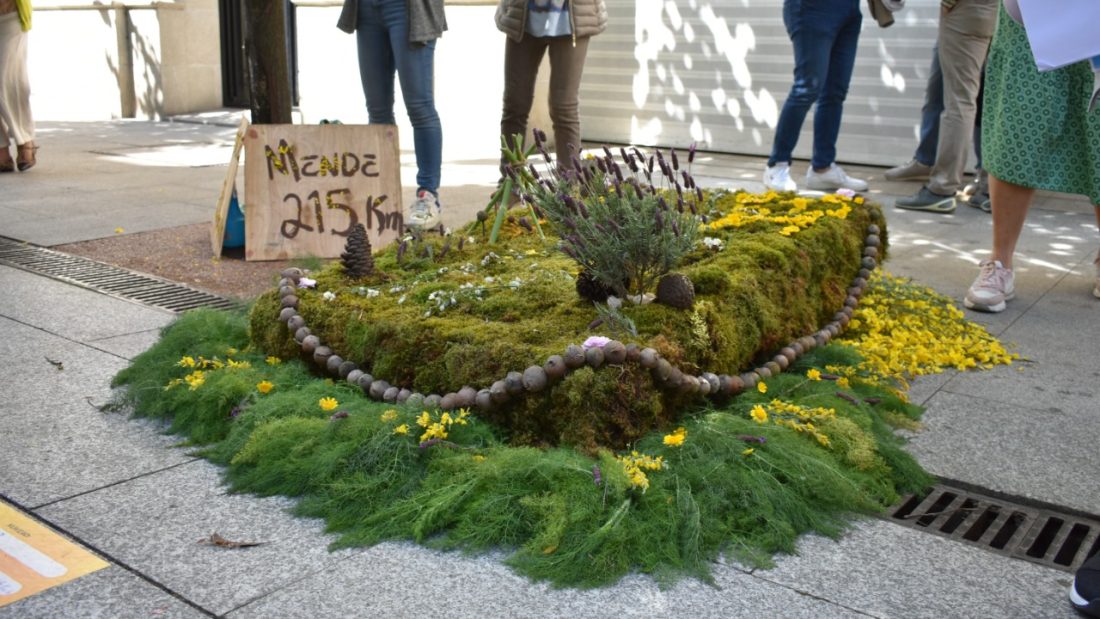 Festa Dos Maios en Ourense