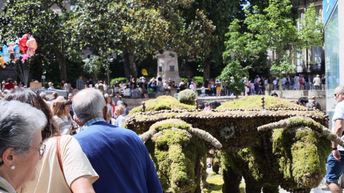 Festa Dos Maios en Ourense