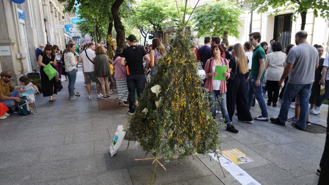 Festa Dos Maios en Ourense