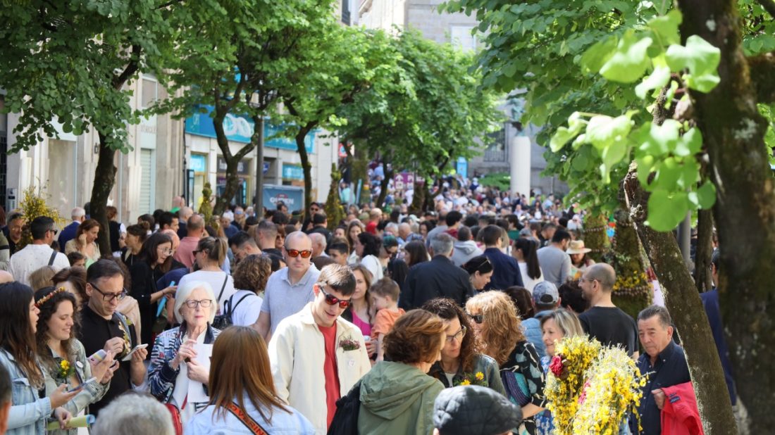 Festa Dos Maios en Ourense