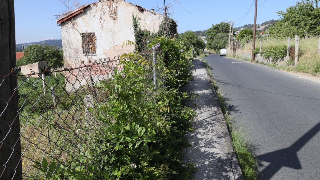 Acera con vegetación calle Limoeiros hierbas