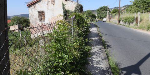 Acera con vegetación calle Limoeiros hierbas