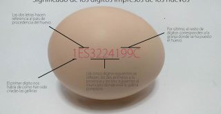 Dígitos de los huevos