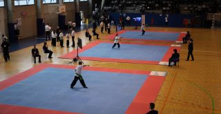 XVII Campeonato de Galicia Escolar individual de Kung-Fu