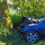 Accidente de tráfico
