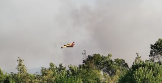 Avión apagando incendios en Ourense