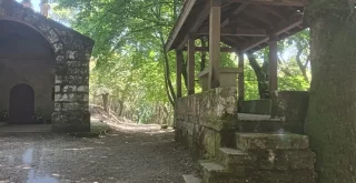 Carballeira da Madalena en O Carballiño